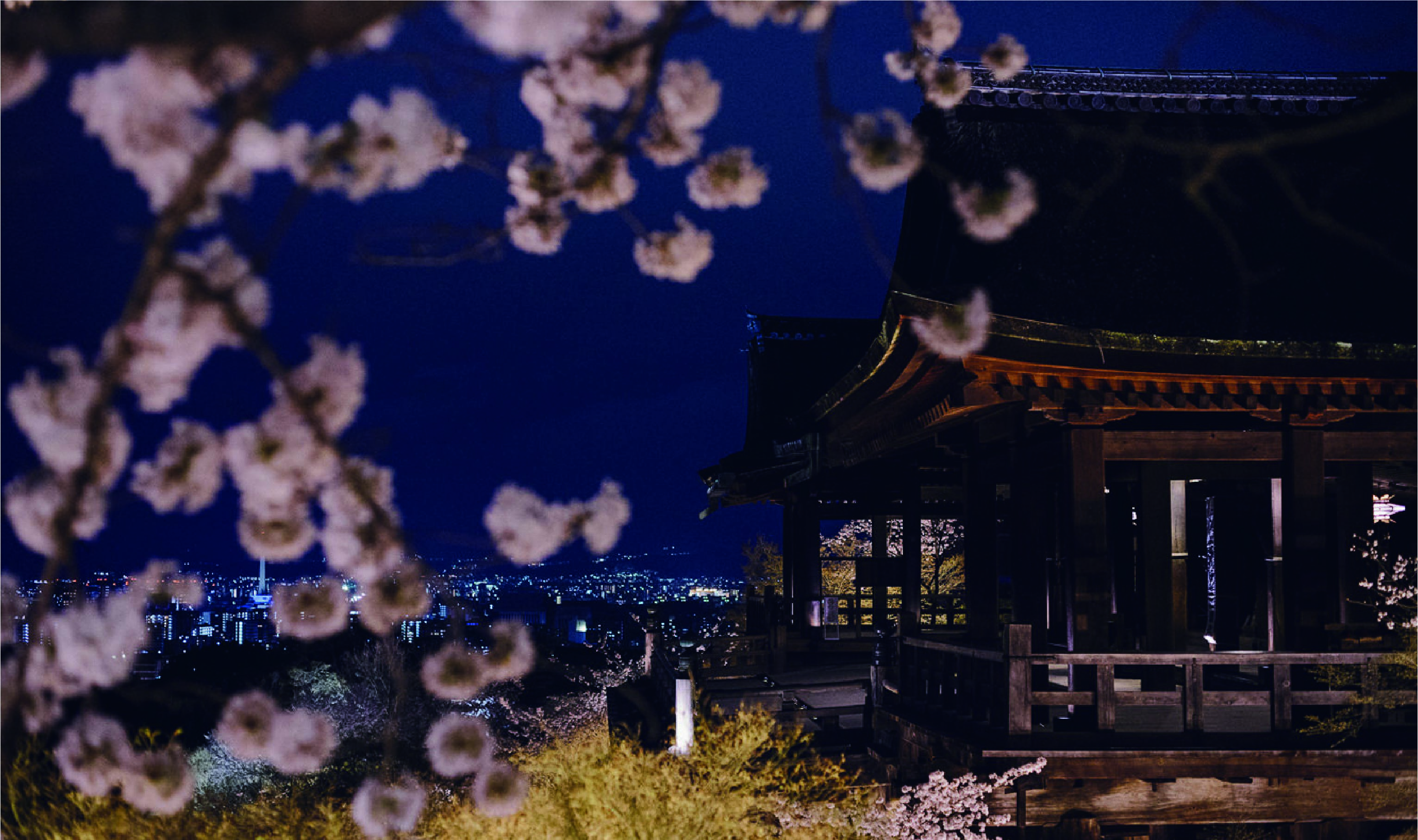 メインビジュアル1