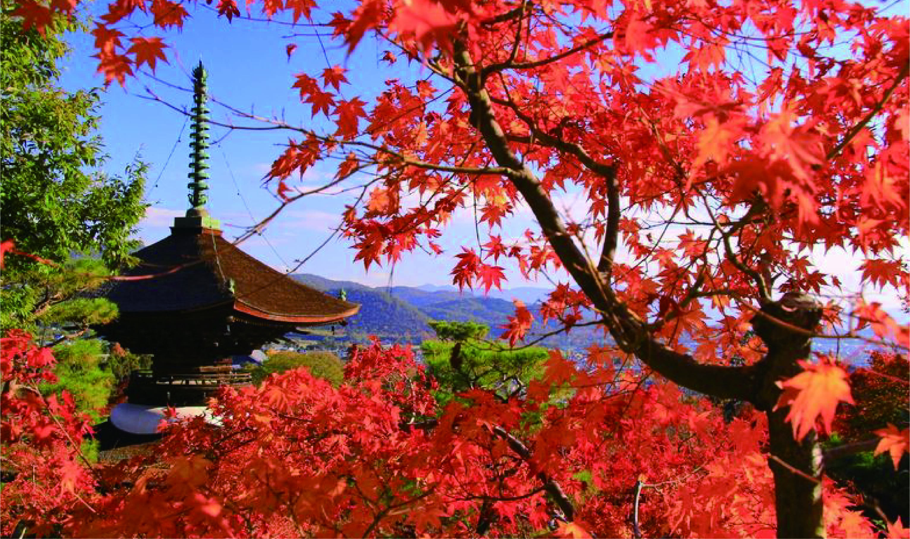 メインビジュアル3